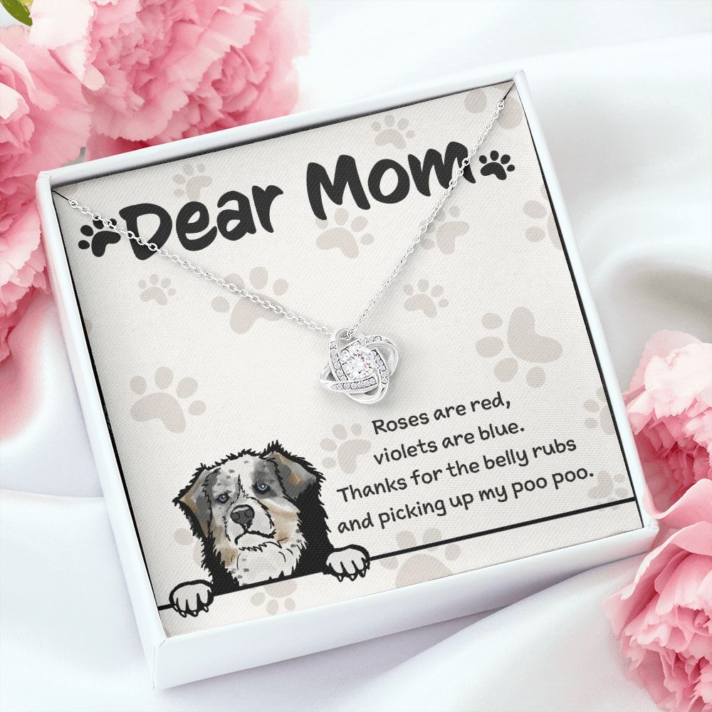 Australian Shepherd Mom "Belly Rubs Poo Poo"