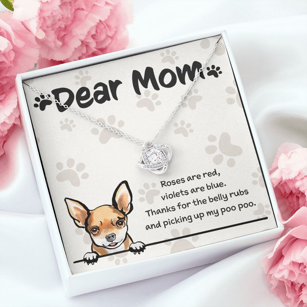 Chihuahua Mom "Belly Rubs Poo Poo"
