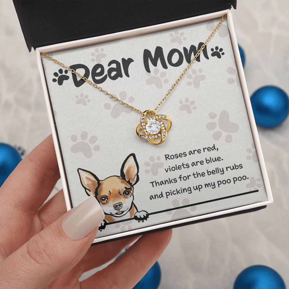 Chihuahua Mom "Belly Rubs Poo Poo"