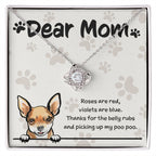 Chihuahua Mom "Belly Rubs Poo Poo"