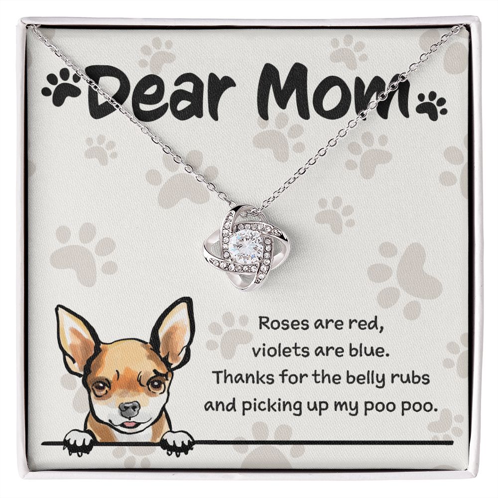 Chihuahua Mom "Belly Rubs Poo Poo"