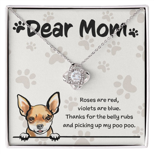Chihuahua Mom "Belly Rubs Poo Poo"