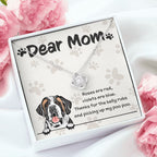 Saint Bernard Mom "Belly Rubs Poo Poo"