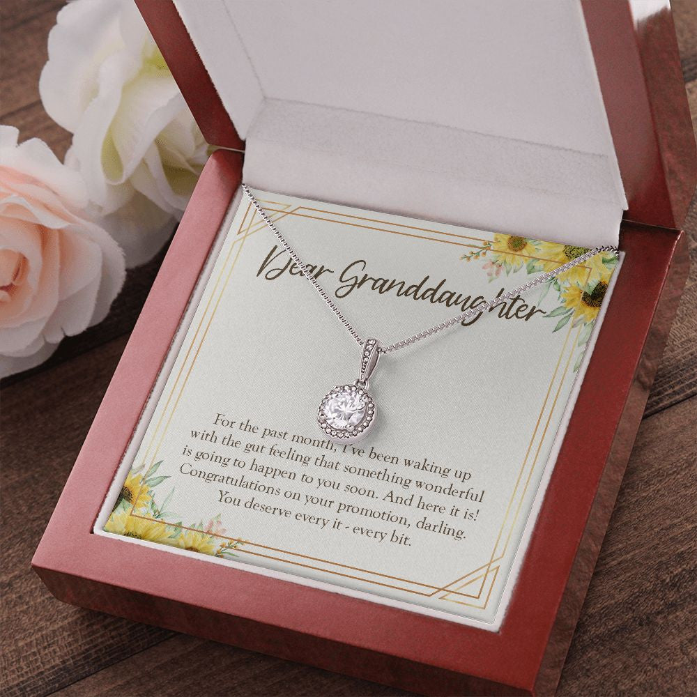 You Deserve Every Bit eternal hope pendant luxury led box red flowers