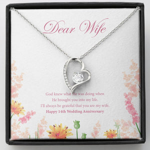 Brought You Into My Life forever love silver necklace front
